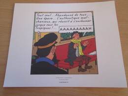 TIRE A PART 2010 DE TINTIN HERGE Par Les EDITIONS MOULINSART Sur Papier épais 24cm X 19.3 Env . TTB état - Serigraphien & Lithographien