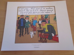 TIRE A PART 2010 DE TINTIN HERGE Par Les EDITIONS MOULINSART Sur Papier épais 24cm X 19.3 Env . TTB état - Serigraphien & Lithographien