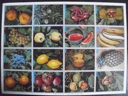 Image D'école - N° 014 - Planche De Fruits - Format 24 X 33 Cm - 1964 - Planche Entière Non Découpée De 12 Images - Recetas De Cocina