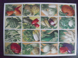 Image D'école - N° 014 - Planche De Légumes - Format 24 X 33 Cm - 1951 - Planche Entière Non Découpée De 12 Images - Recettes De Cuisine