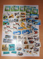 Duck And Swan - Lot 84 Stamps On Thema Duck And  Swan From 11 Countries (used) - Eenden