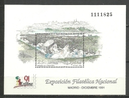 ESPAÑA- HOJITA BLOQUE EXPOSICION FILATELIACA NACIONAL -MADRID-DICIEMBRE 1991 (N.1.C.07.18) - Feuillets Souvenir