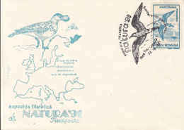 BIRDS, POMARINE JAEGER, SPECIAL COVER, 1991, ROMANIA - Albatros