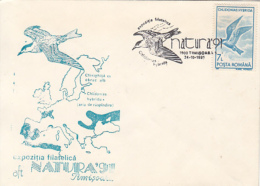 BIRDS, WHISKERED TERN, SPECIAL COVER, 1991, ROMANIA - Albatros