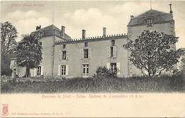 -dpts Div.-ref-AB516- Deux Sevres - Celles Sur Belle - Chateau De La Lussaudiere - Chateaux -edit. Kunzli - - Celles-sur-Belle