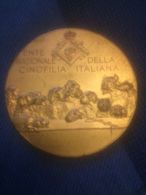 Medaglia Grande Modulo Ente Nazionale Cinofilia Italiana Anni 30 Cani Caccia Fascismo Regno Anni 20 - Professionnels/De Société