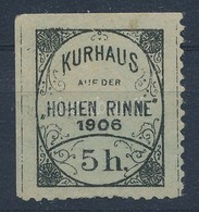 (*) 1906 Hohe Rinne 5h Hotelpostabélyeg - Sonstige & Ohne Zuordnung