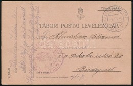 1916 Tábori Posta Levelez?lap / Field Postcard M. Kir. 1. Népfelkel? Gyalog Ezred 1. Század + 'EP PEJA' - Other & Unclassified