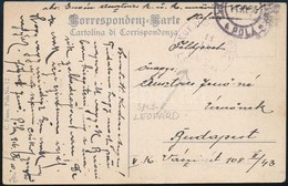 1915 Tábori Posta Képeslap 'K.u.K. KRIEGSMARINE / S.M.S. LEOPARD' - Altri & Non Classificati