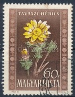 O 1950 Virág 60f, Barna Festékfolt A Sziromban - Autres & Non Classés