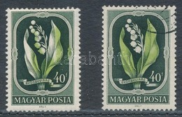 ** 1951 Virág II. 40f A Zöld Szín 5 Mm-es Elcsúszásával / Mi 1209 Shifted Green Colour - Autres & Non Classés