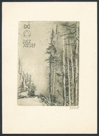 Bálint Ferenc (1960-): Ex Libris Dr. Lucz József. Rézkarc, Papír, Jelzett, 9.5×7 Cm - Other & Unclassified