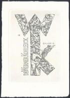 Beier, Ottohans (1892-1979): Ex Libris Dr. Werner Kohleick, Rézkarc, Papír, 11,5×8 Cm - Autres & Non Classés