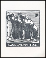 Farkas Dezs? (?-?): Ex Libris Szölgyény Pál. Fametszet, Papír, Jelzett A Dúcon, 8×7,5 Cm - Altri & Non Classificati