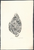 Gyarmati Lea (1938-): Levél. Rézkarc, Papír, Jelzett, 7.5×5 Cm - Altri & Non Classificati