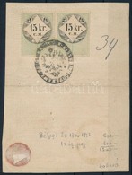 1869 2x15kr CM Okmánybélyeg Igazolólapon / Document Stamps On Id - Unclassified