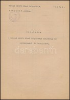 1934 Kimutatás A Balatoni Kiköt?k M. Kir. Felügyel?sége Tulajdonát Képez? Hajókról. Egy Beírt Oldal - Autres & Non Classés