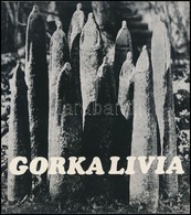 3 Db Kiállítási Katalógus: 
Vasarely Festm?vész Kiállítása. Bp.,1969, M?csarnok. Kiadói Papírkötés.
Ország Lili Fest?m?v - Unclassified