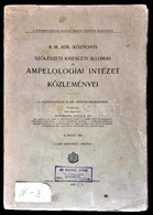 Dr. Istvánffi Gyula: Tanulmányok A Sz?l? Fakórothadásáról. A M. Kir. Központi Sz?lészeti Kísérleti Állomás és Ampelologi - Unclassified