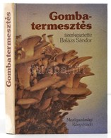 Balázs Sándor: Gombatermesztés Bp., 1979, Mez?gazdasági. Kiadói Modern Keménykötésben. - Non Classificati