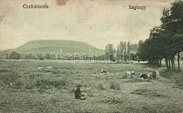 T3 Alsóság (Celldömölk), Sághegy, Szarvasmarhák. Szagán János Kiadása (fa) - Unclassified