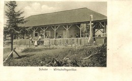 T2 1910 Brassó, Kronstadt, Brasov; Keresztényhavas, Schuler Menedékház / Schuler Wirtschaftspavillon / Postavaru, Rest H - Sin Clasificación