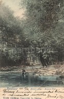 T3 1905 Resica, Resita; Berzava-völgy, Folyópart Felaprított Fával / Barzava Valley, River With Chopped Wood (EB) - Sin Clasificación