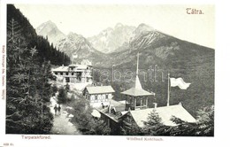 ** T1/T2 Tátra, Tarpatakfüred, Wildbad Kohlbach; Feitzinger Ede 1902/12. 489. Kr. - Non Classés