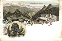 ** T2/T3 Semmering, Südbahn-Hotels. Regel & Krug No. 757. Floral, Art Nouveau, Litho (EK) - Sin Clasificación