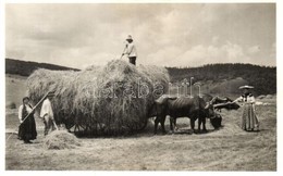 ** T3/T4 Kalotaszeg, Folklór, Szénagy?jtés / Transylvanian Folklore From Tara Calatei, Vista, Gathering Hay (hiányzó Rés - Unclassified