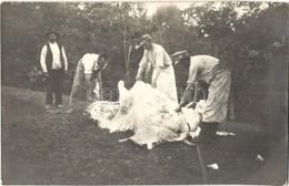 T2 1915 Katonák Marhafeldolgozás Megkezdésekor / WWI K.u.k. Military, Soldiers Starting The Processing Of A Beef, Buther - Unclassified