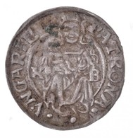 1534K-B Denár Ag 'I. Ferdinánd' (0,59g) T:2 Patina
Hungary 1534K-B Denar Ag 'Ferdinand I' (0,59g) C:XF Patina
Huszár: 93 - Non Classificati