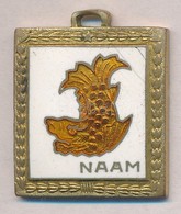 DN 'NAAM' Zománcozott Fém Medál (24x29mm) T:1-
ND 'NAAM' Enamelled Metal Medal (24x29mm) C:AU - Non Classés
