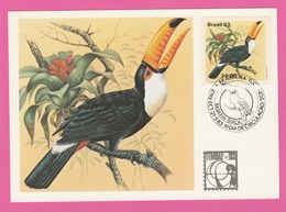 Carte Maximum - Brésil - Brasil - 1983 - Tucanos - Toucans - Cartes-maximum