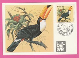 Carte Maximum - Brésil - Brasil - 1983 - Tucanos - Toucans - Maximumkaarten