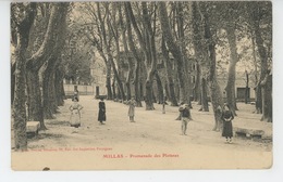 MILLAS - Promenade Des Platanes - Millas