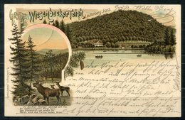 6999 - Color-Litho BAD LAUTERBERG, Wiesenbeeker Teich - Bahnpoststempel "Seesen-Herzberg, Zug 347, 1897" - Bad Lauterberg