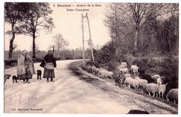 2113 - Nantiat ( 87 ) - Avenue De La Gare - Scène Champêtre - Mme Gros , Nouveautés - N°7 - - Nantiat