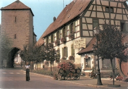 CPM .  DAMBACH-LA-VILLE .. BOUTIQUE DE VIGNERON AU 1er PLAN  . CARTE NON ECRITE - Dambach-la-ville