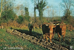 CARTE POSTALE 10CM/15CM ORIGINALE 1972 SAINT BONNET BRIANCE LABOUREUR LABOUR AVEC ATTELAGE DE BOEUFS HAUTE VIENNE (87) - Cultures