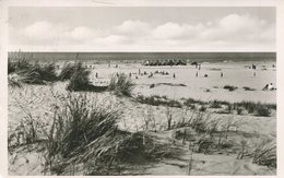 004783  Nordseebad Norderney - Blick Von Den Dünen Auf Das Ostbad - Norderney