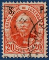 Luxemburg 1891 20 C Perf  12½  Cancelled - Oficiales