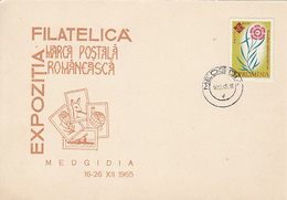 MEDGIDIA PHILATELIC EXHIBITION SPECIAL POSTCARD, FLOWER STAMP, 1965, ROMANIA - Brieven En Documenten