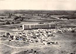 66-ARGELES-SUR-MER- LOTISSEMENT ET LUMIERE, LES VILLAS ET LE MIRAMAR - Argeles Sur Mer