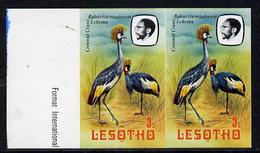 Lesotho 1981, Birds, Crowned Crane, 1val. In Pair IMPERFORATED - Grues Et Gruiformes