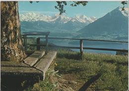 Heiligenschwendi Ob Thun - Ausblick Gegen Blümlisalp, Doldenhorn-Balmhorn, Altels-Niesen - Photo: Arthur Baur - Heiligenschwendi