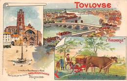 Thème Publicité Ou Vue Agriculture :   Faucheuse Amouroux 31 Toulouse  Illustrée .  (voir Scan) - Sonstige & Ohne Zuordnung