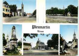 DEP 86 PLEUMARTIN  MULTIVUES - Pleumartin