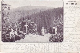 AK Gruss Aus Dem Triebthal - Loreley - Triebtal - 1901 (36011) - Vogtland