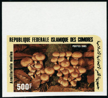 Neuf Sans Charnière N° 435/39, La Série Complète Champignons Non Dentelée + La Même En 5 Blocs Non Dentelés Gommés, Supe - Autres & Non Classés